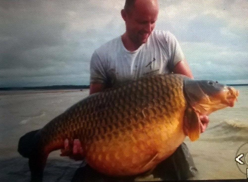 DIVERSE - cat crezi ca a cantarit?